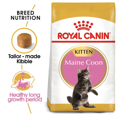 Royal canin maine coon kitten - coon,