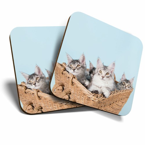Coasters cute maine coon - x,