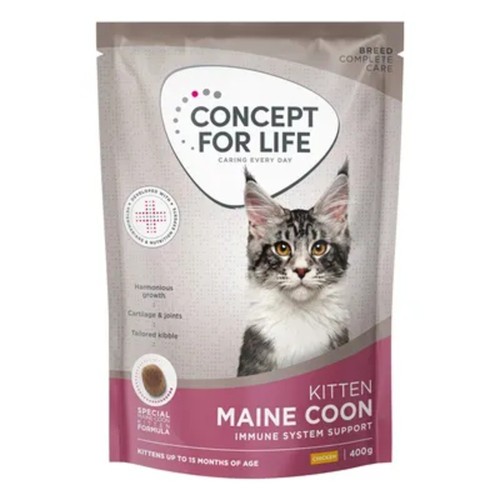 Concept for life maine coon - concept,