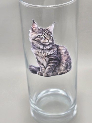 Tabby maine coon cat kitten - tabby,