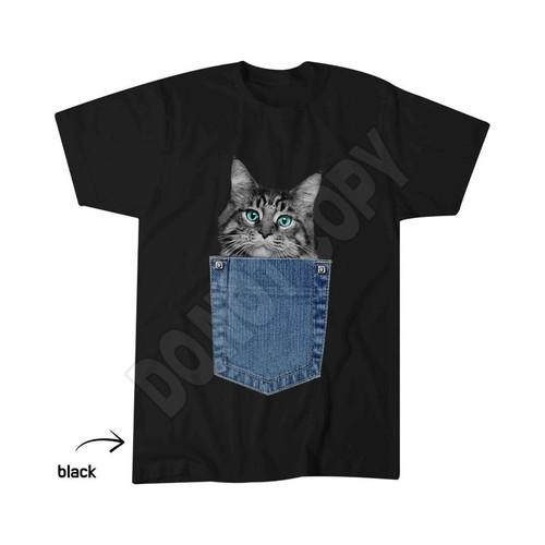 Maine coon cat pocket kitten - pocket,