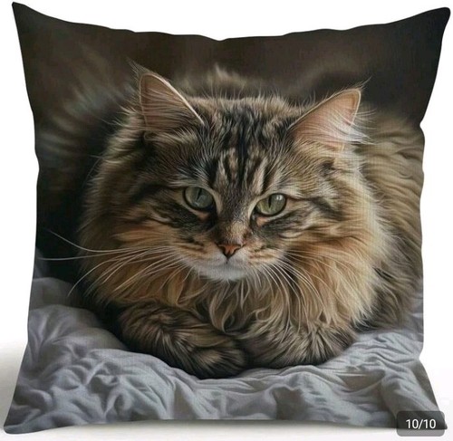 Printed maine coon kitten - 1, x