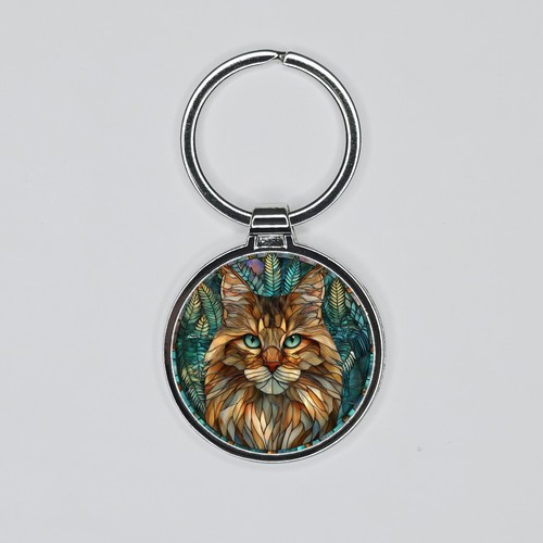 Maine coon cat kitten stained - kitten,