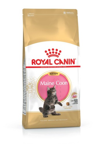 Royal canin maine coon - maine,