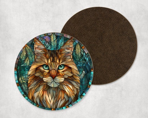 Cute maine coon - maine, cat