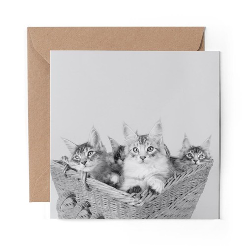Blank greeting card - 1,