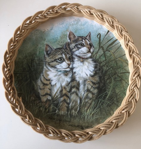 Vintage maine coon kittens - maine,