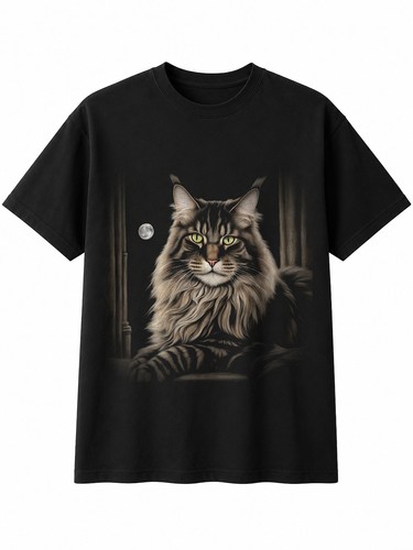 Charcoal maine coon - coon, broken