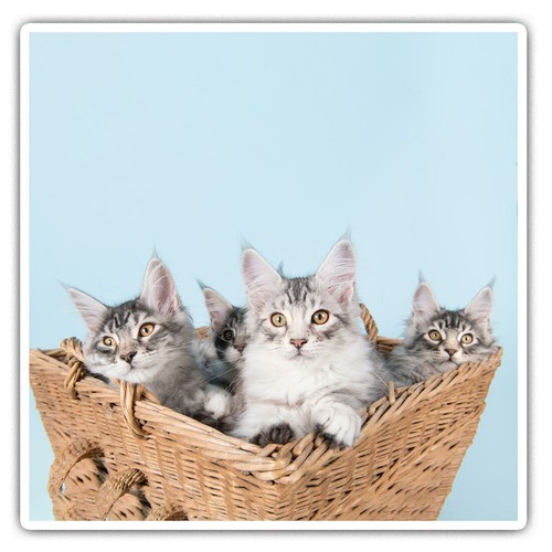 Square stickers cm - square,