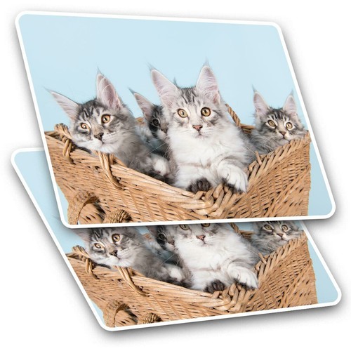 Rectangle stickers 5 - 2, 7.5
