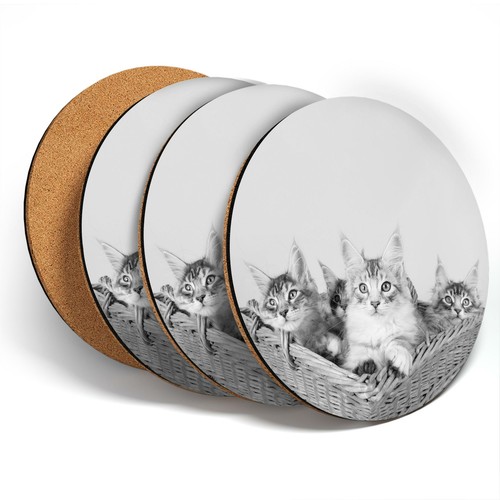 Coasters bw cute - x,