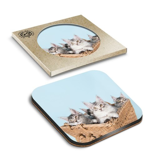 Boxed square coasters - boxed,