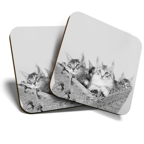 Coasters cute maine - x, (bw)