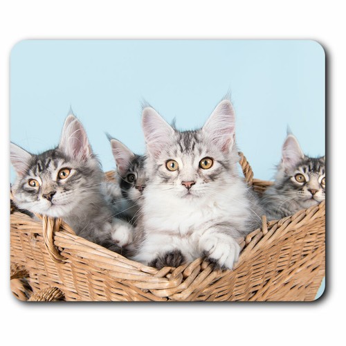 Computer mouse mat - mat, cute