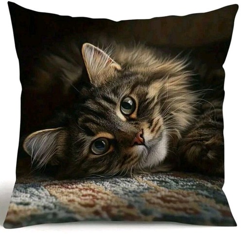 Printed maine coon kitten - x,