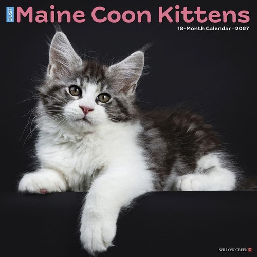 Willow creek press maine coon - maine,