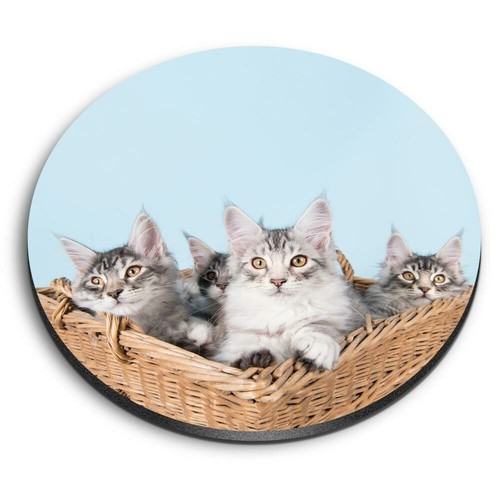 Round mdf magnets cute - magnets, maine
