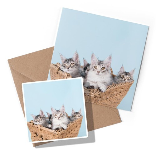 Greeting card sticker - card, &