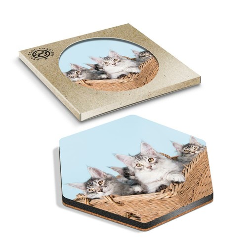 Hexagon coaster cute - 1,