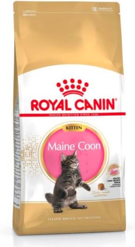 Royal canin maine coon - royal,