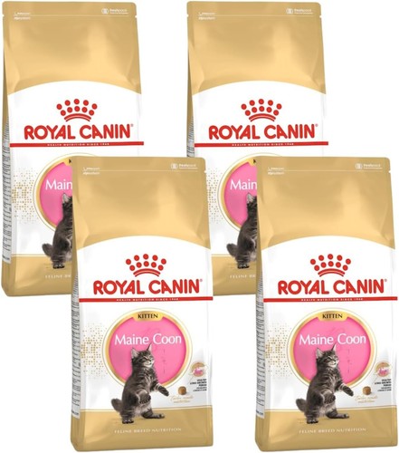 Royal canin maine coon kitten - canin,