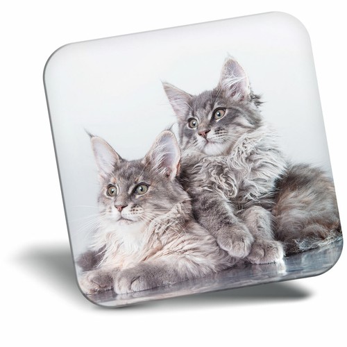 Awesome fridge magnet - fridge,