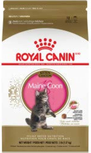 Royal canin maine - maine, kitten