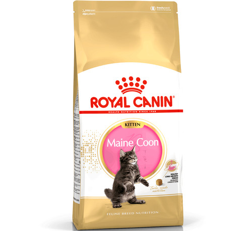 Maine coon kitten 400g - kitten, (400g