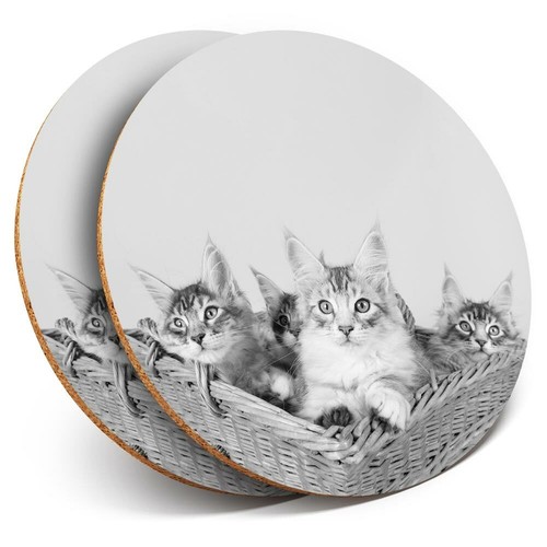 Coasters cute maine - coasters, bw