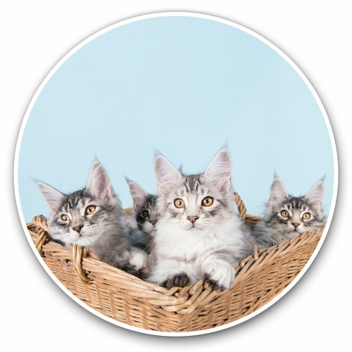 Vinyl stickers 5cm - x,