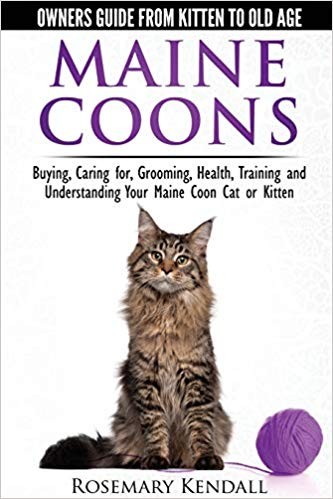 Rosemary kendall maine coon - rosemary,