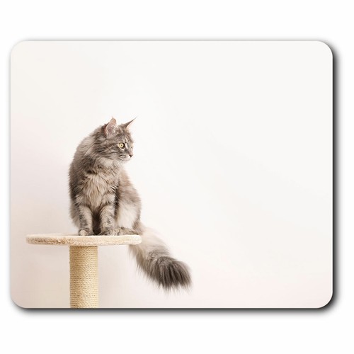 Computer mouse mat pretty - mouse,