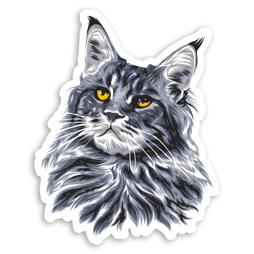 10cm maine coon grey - 2,