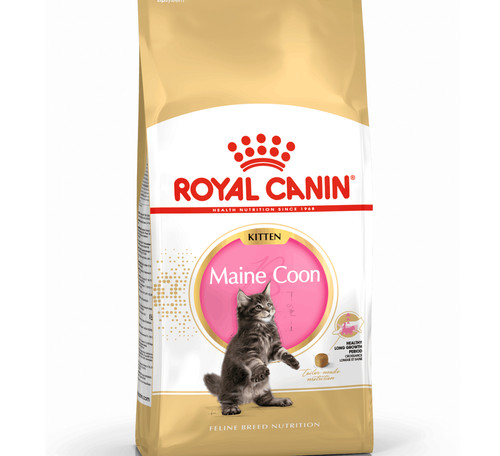 Royal canin maine coon kitten - canin,