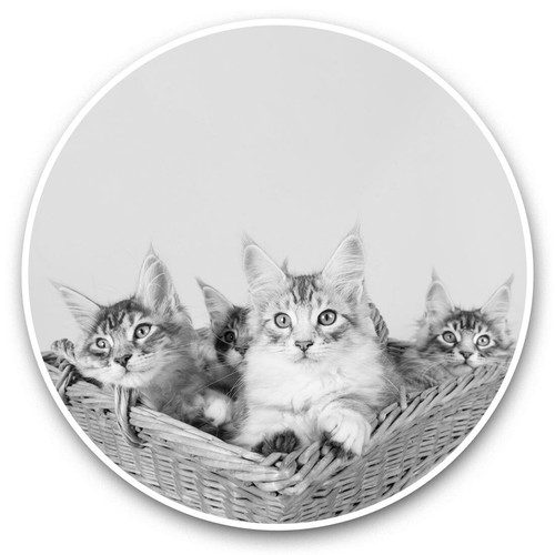 Vinyl stickers 20cm - 2, x