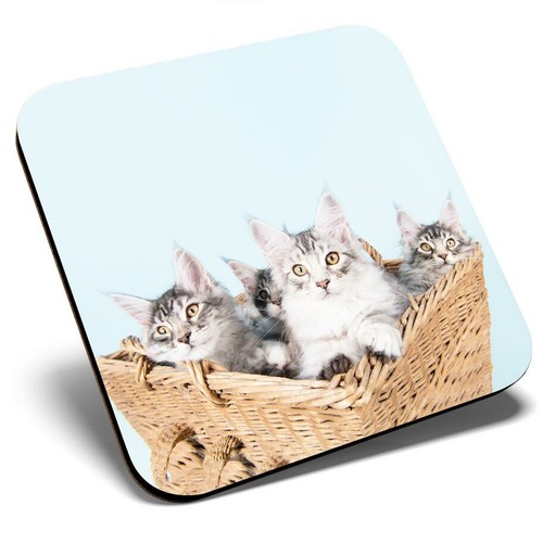 Square single coaster - -, cute